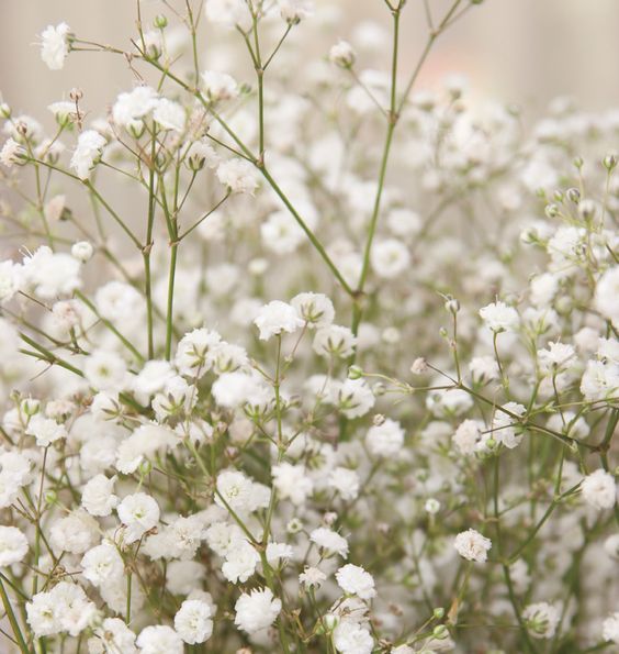 natural wedding confetti