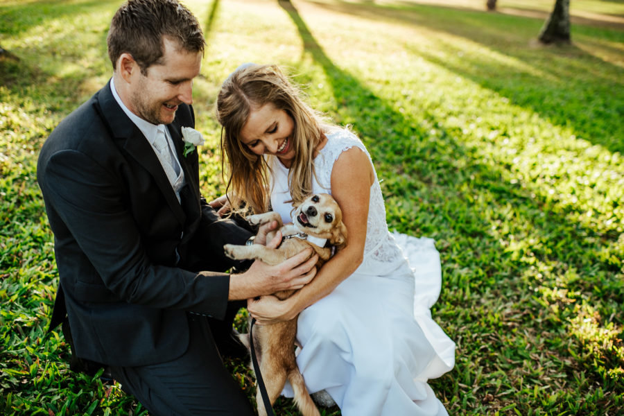 How to dress your dog on your wedding day