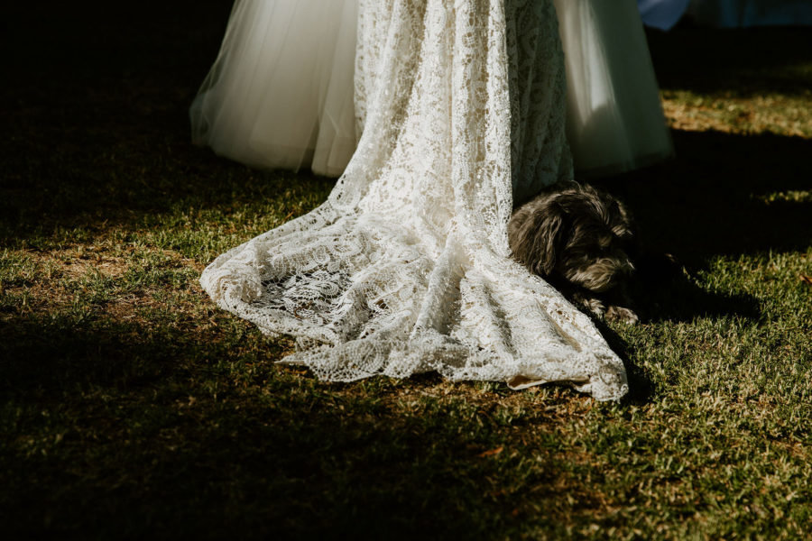 Chiara Bianca Rustic Vineyard Wedding Dan Brannan Photography 038 900x600 900x600 1