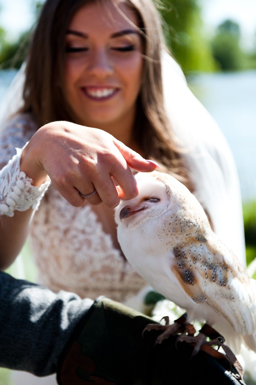 wedding animals