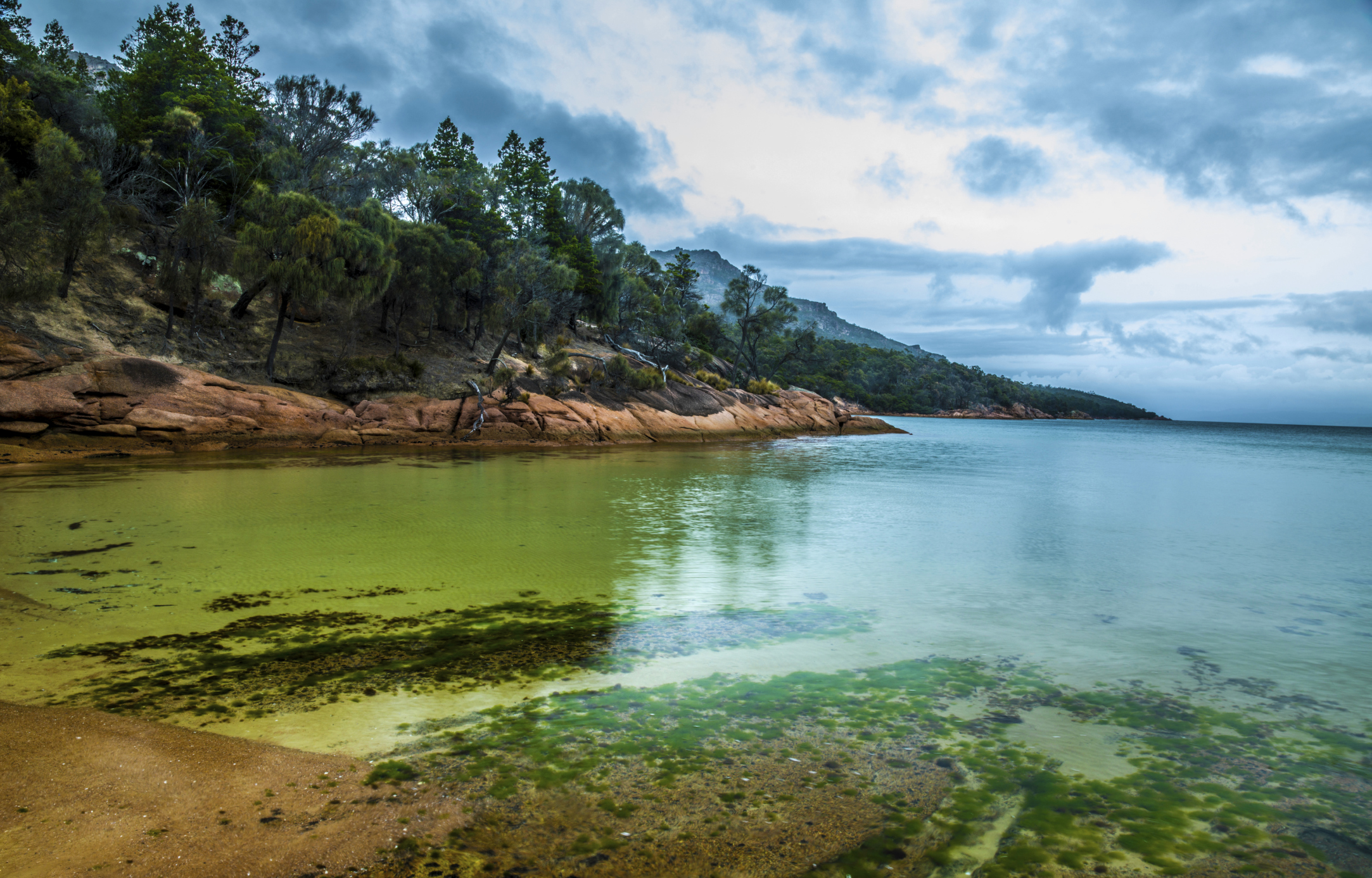 Tasmanian coast 