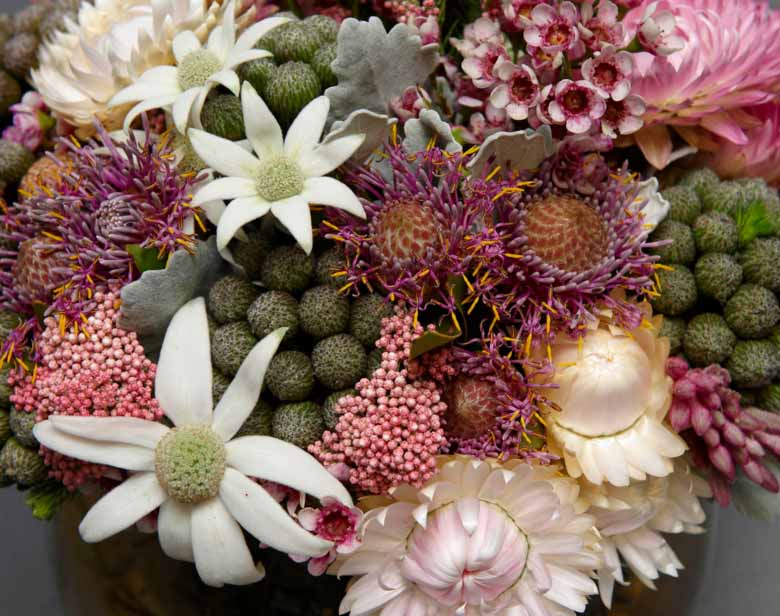 Flannel flowers in a native bouquet