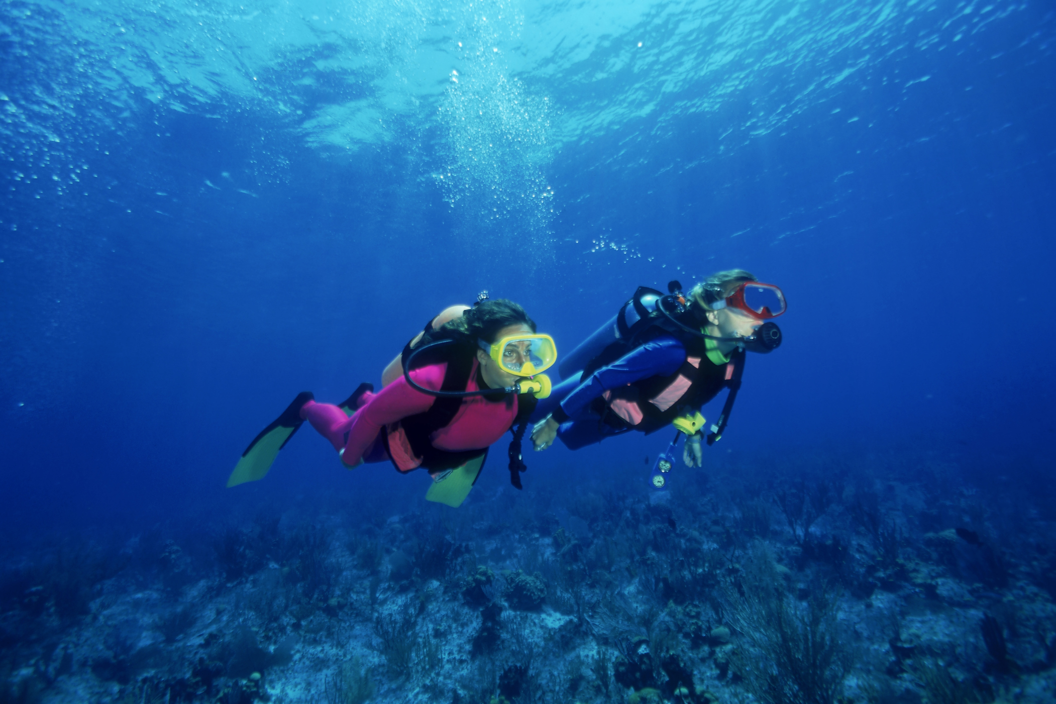 Honeymoon ideas - diving