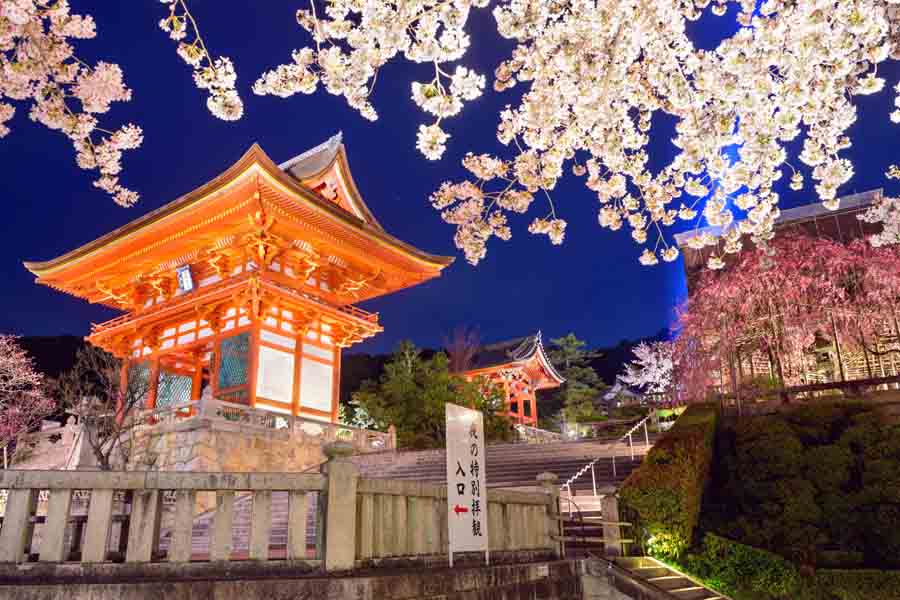 Kiyomizu-dera Shrine In the Spring