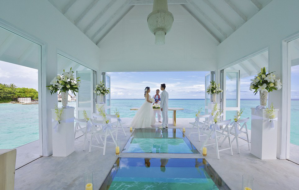 Couples can exchange vows above the glass aisle which peers into a turtle enclosure. Image: Four Seasons via Daily Mail