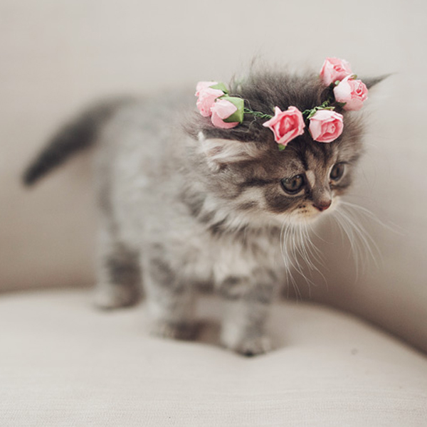 Image: Amanda Keeys Photography