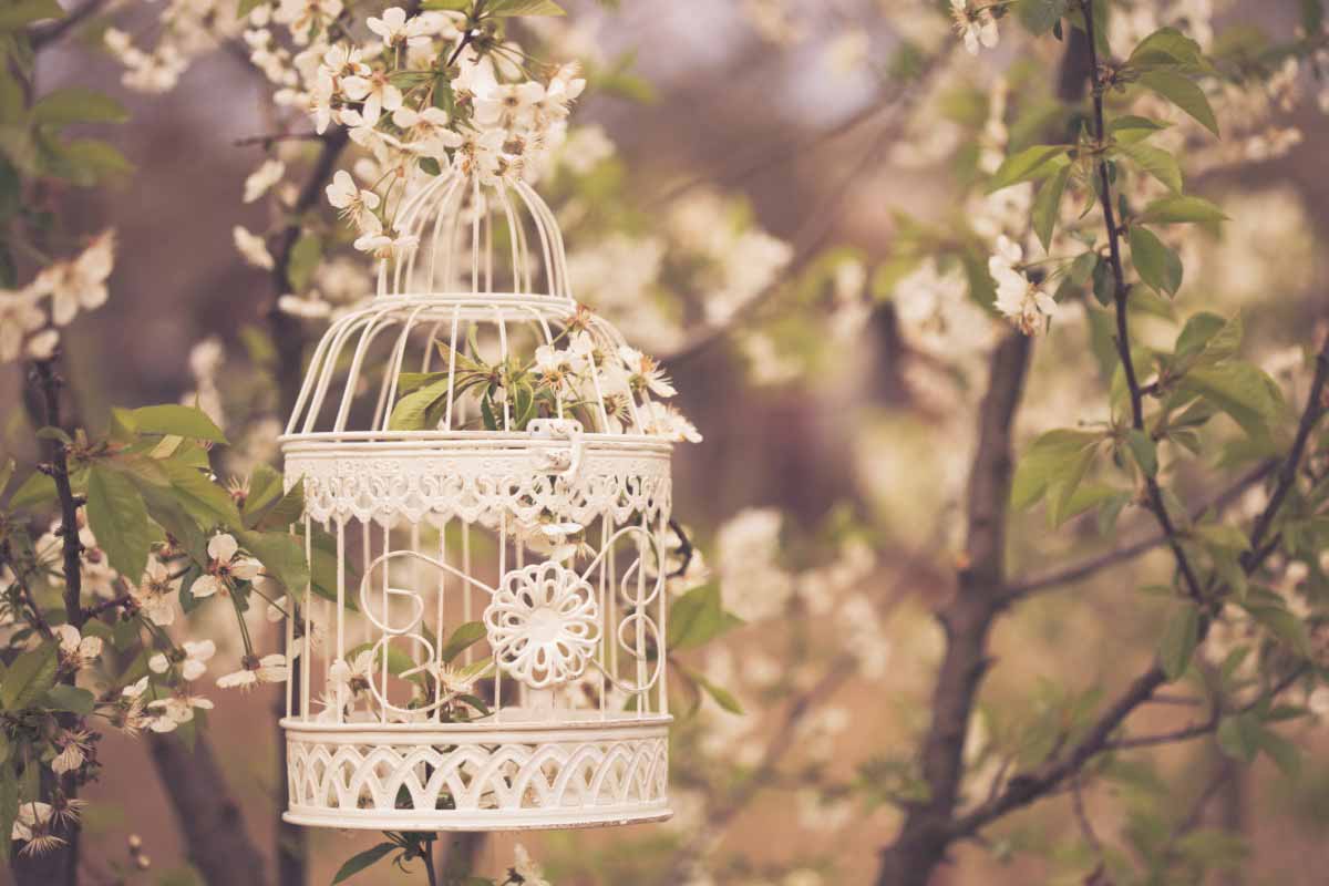 Rustic weddings birdcage