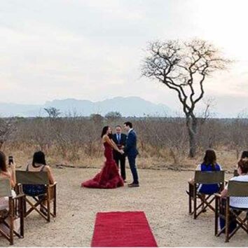 Wedding in South African savannah