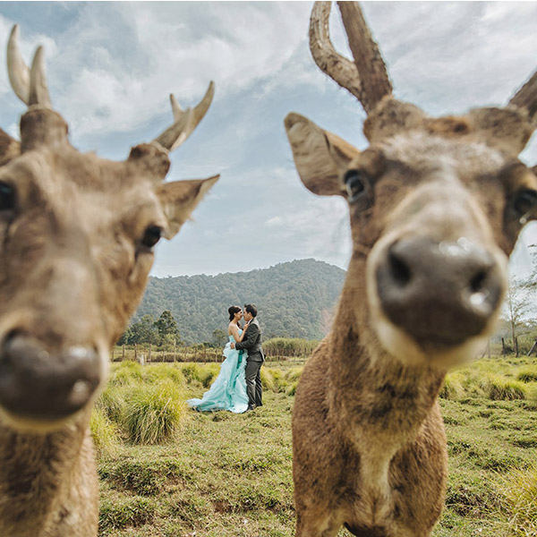 Easy Weddings thumb1