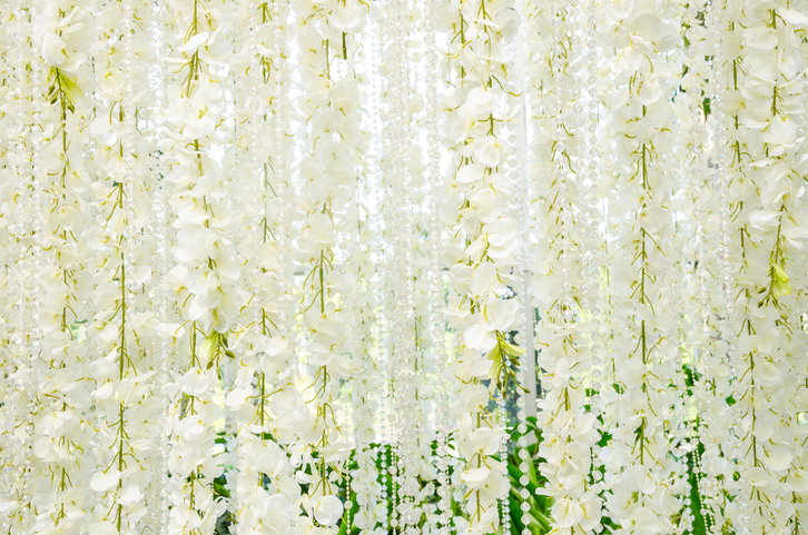 Backdrop for wedding white flowers