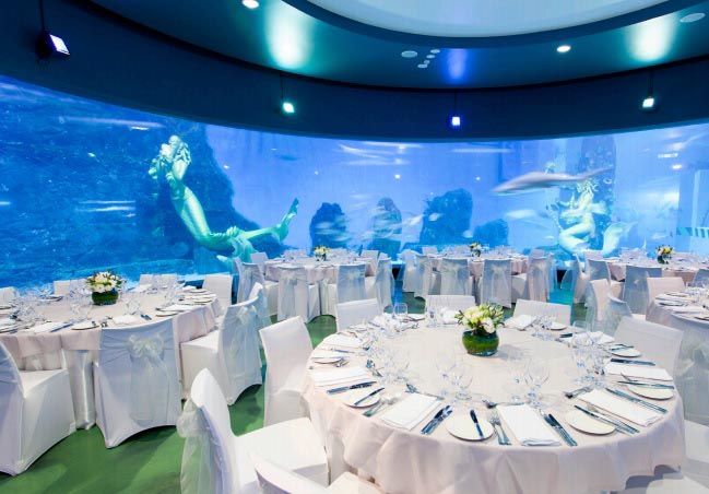 Melbourne aquarium wedding