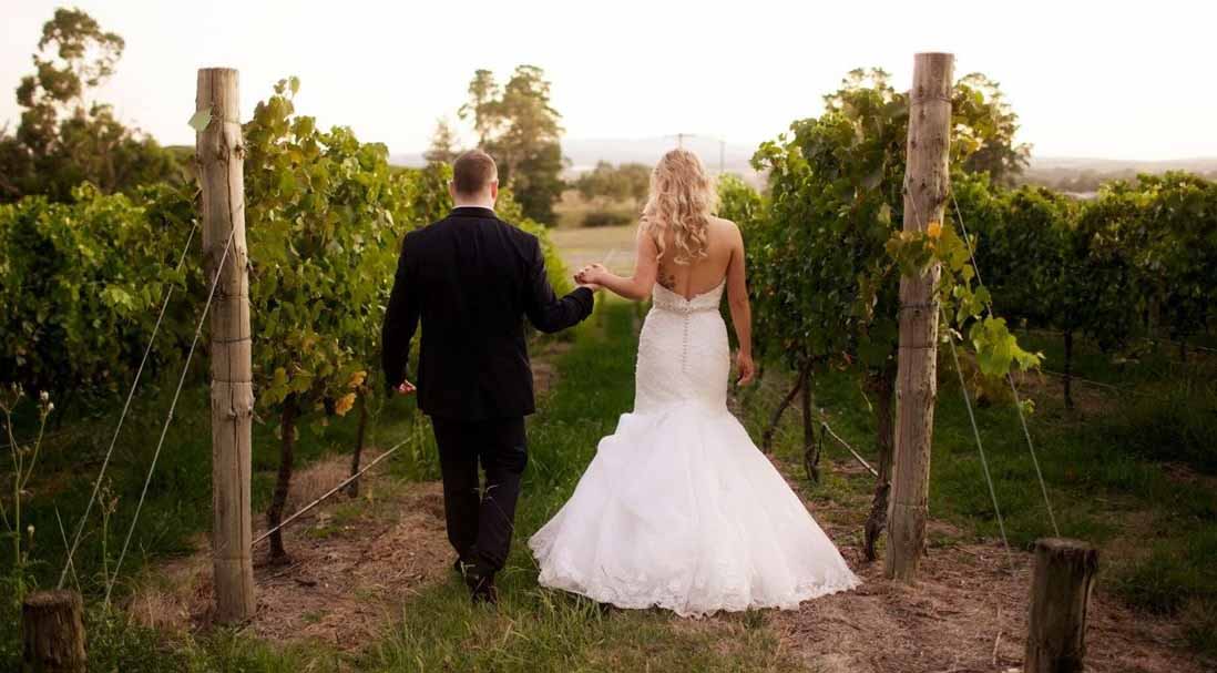 Winery wedding - Balgownie Estate Vineyard