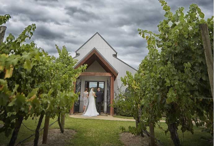 Winery wedding - Immerse Winery