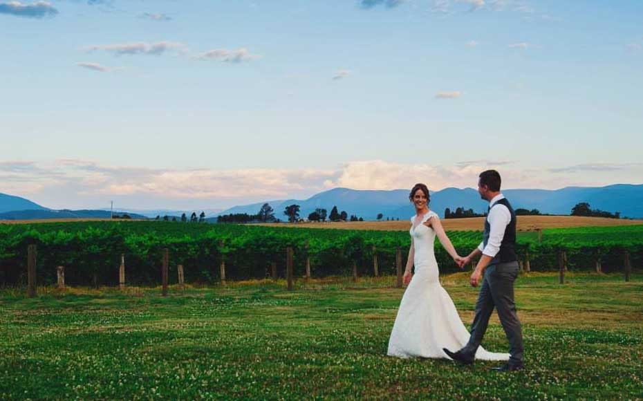 Winery wedding - Zonzo