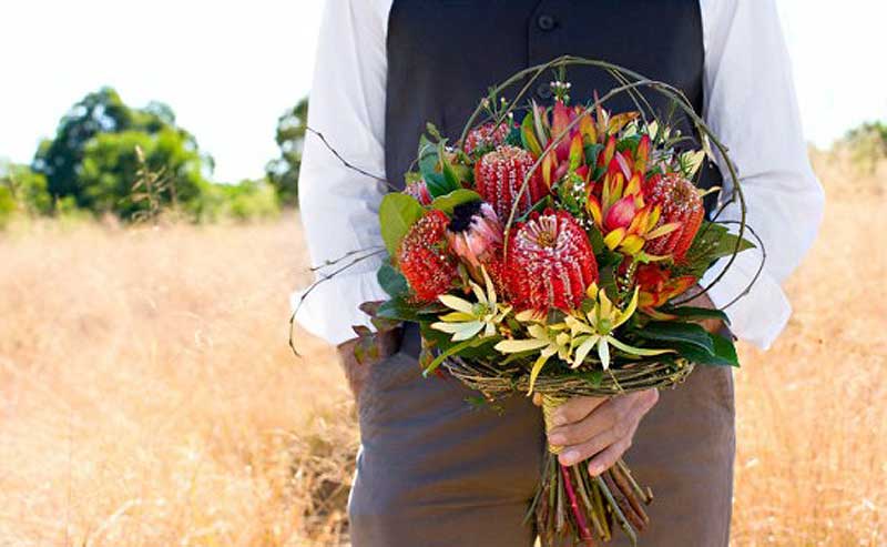 Blushing blooms native australian wedding bouquets