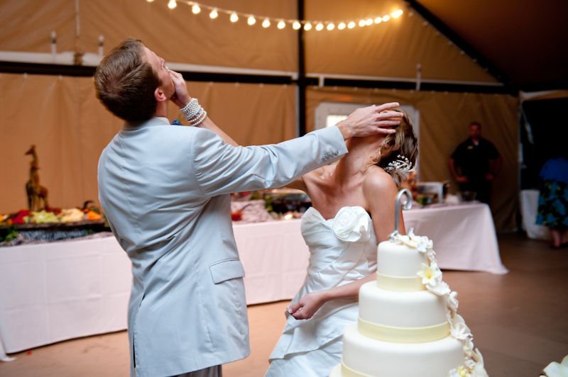 Wedding cake smashes