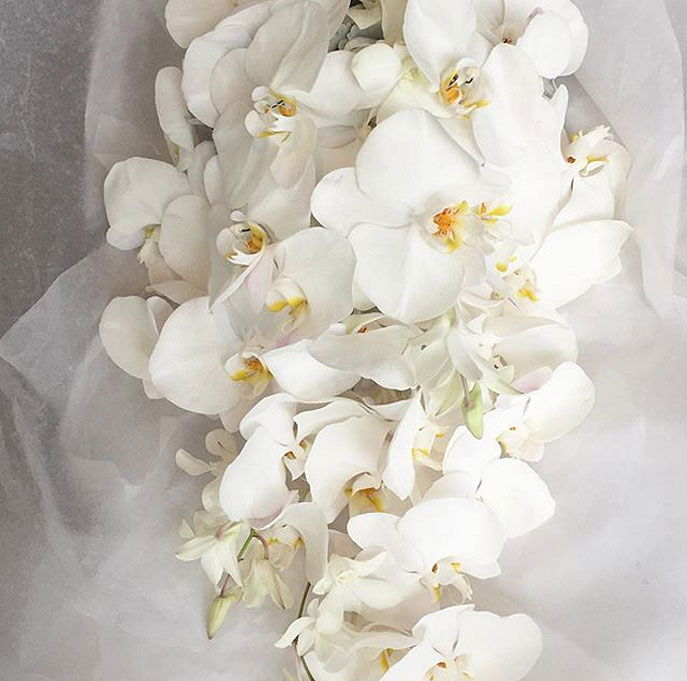 wedding bouquet  orchids