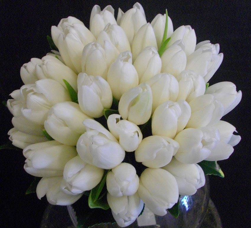 white tulip wedding bouquet