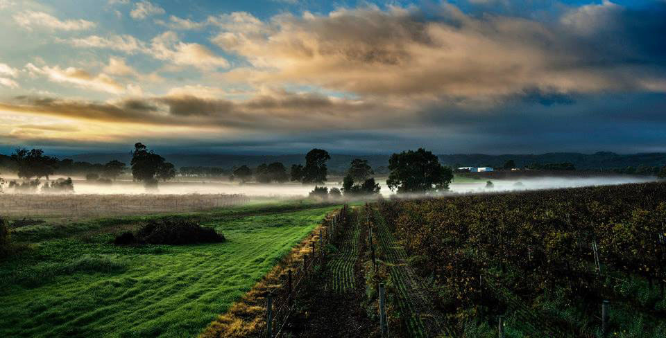 serafino winery adelaide