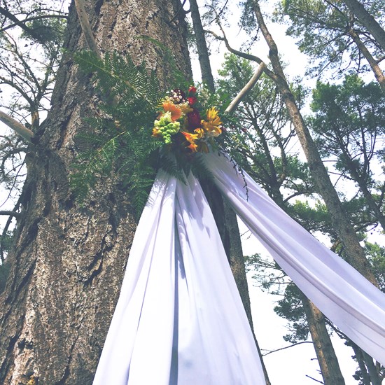 Decorations were attached to trees at this woodland wedding. Image: Events By Alex