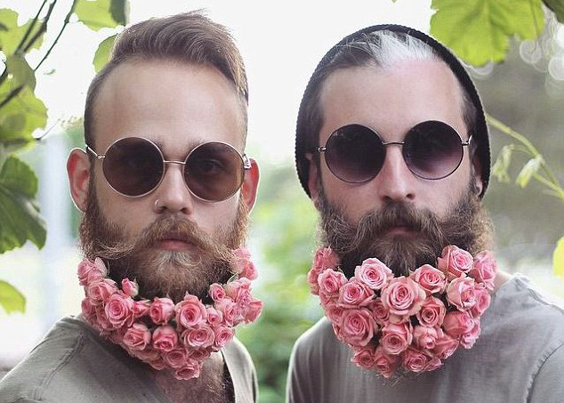 the gay beards