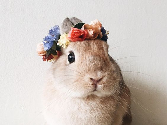 bunny flower crown wedding