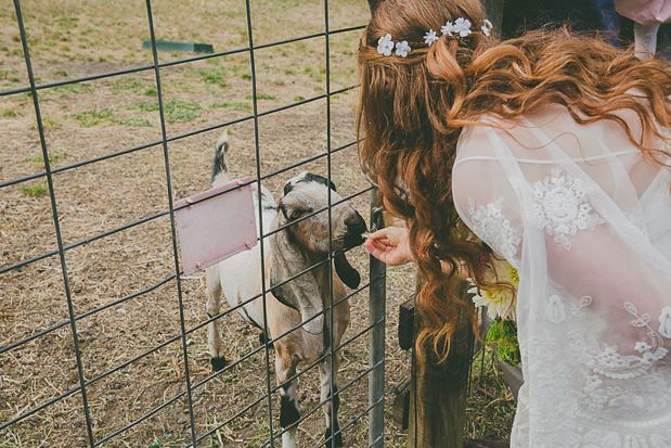 collingwood childrens farm, wedding venues melbourne