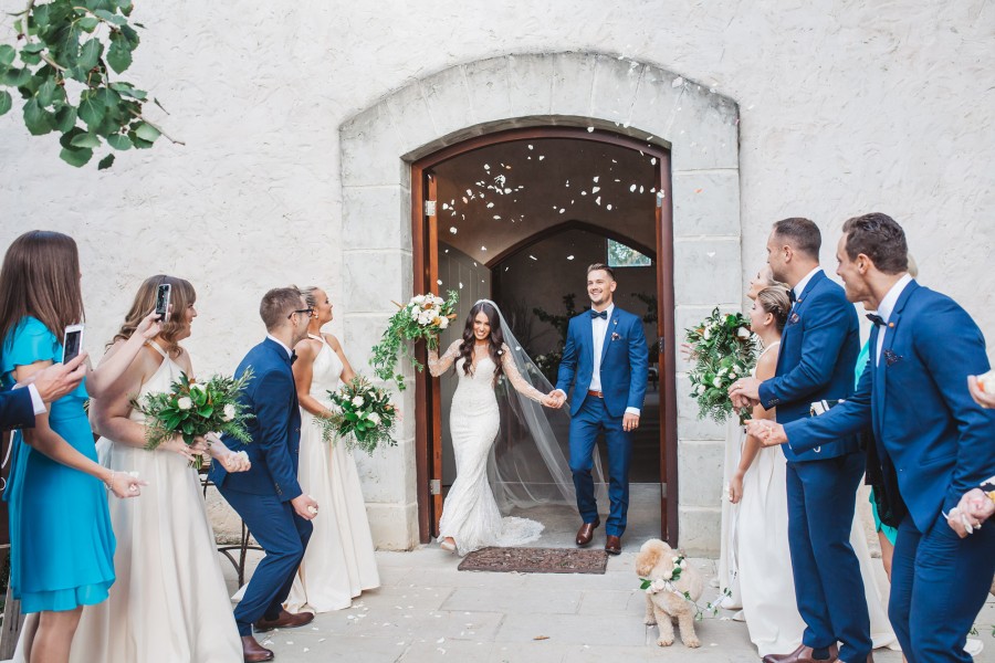 pets at weddings