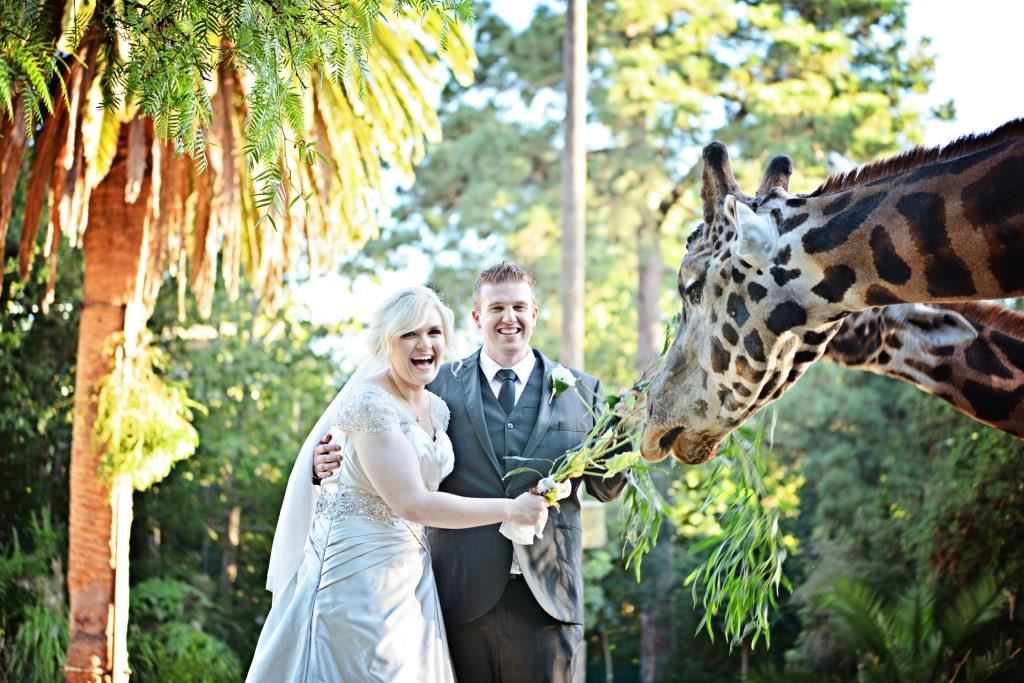 Melbourne Zoo offers a stunning venue with the added bonus of animals