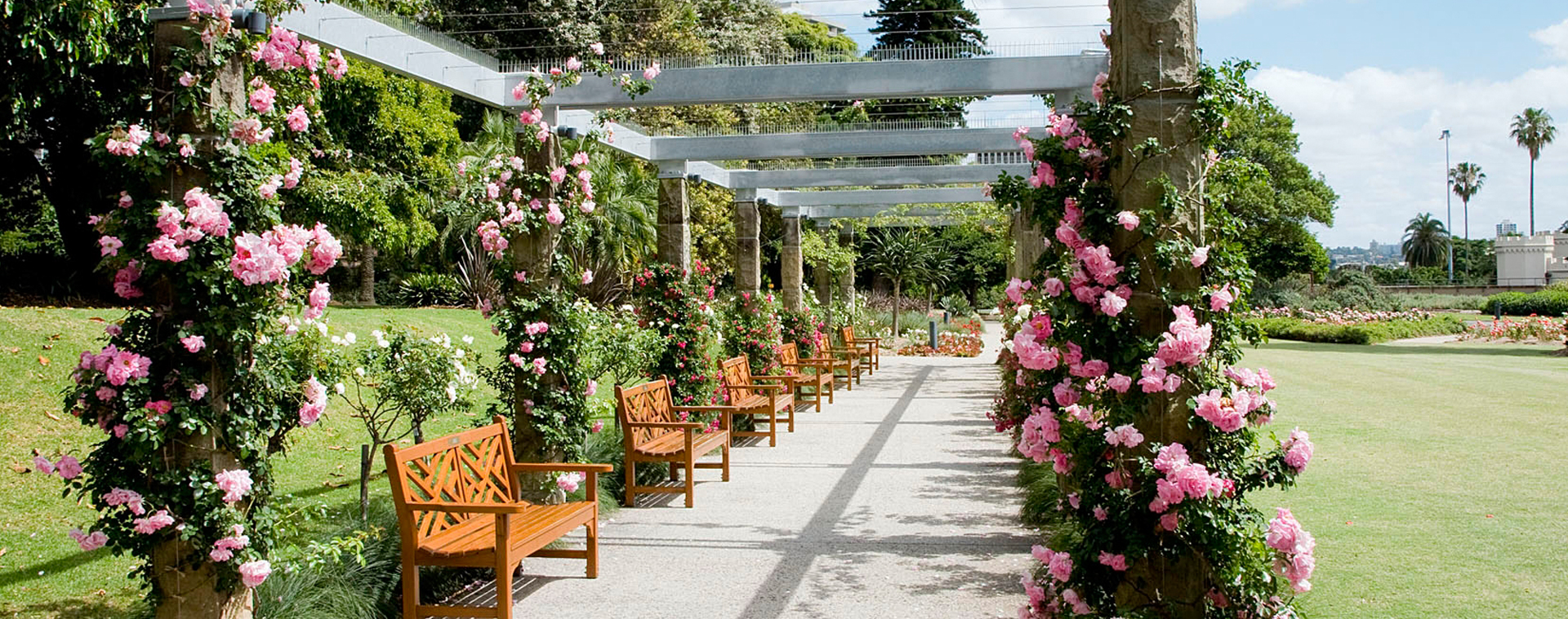 royal botanic gardens, rose garden and pavilion