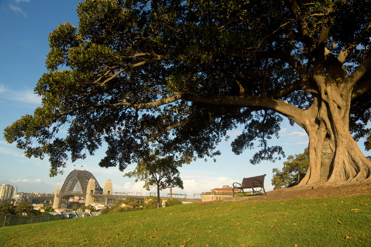 sydney wedding photography locations