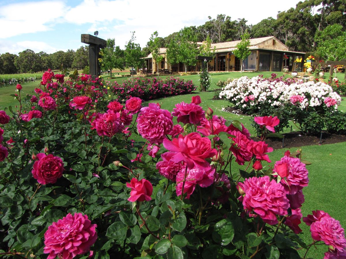 Gorgeous winery wedding venues in Perth you'll love
