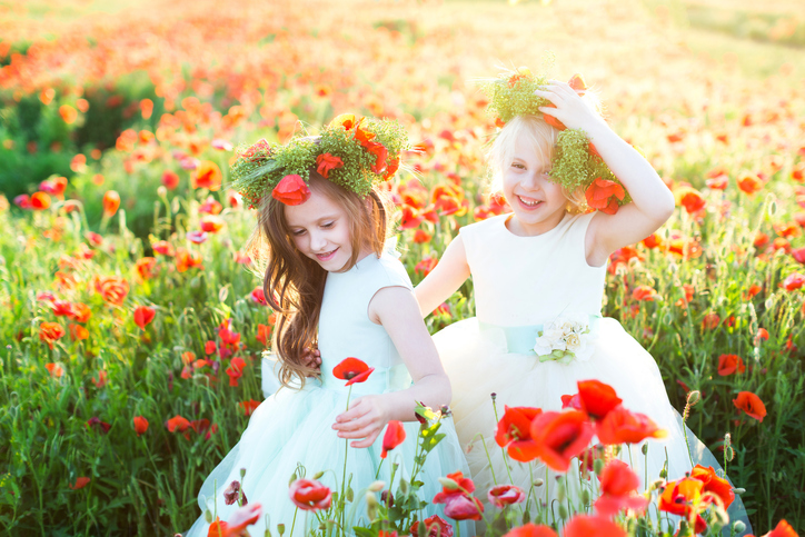 friendship, wedding, party, freedom, childhood concept - small adorable cousins, wearing sleeveless dresses in different colors and great wreaths, picking up poppies and laughing