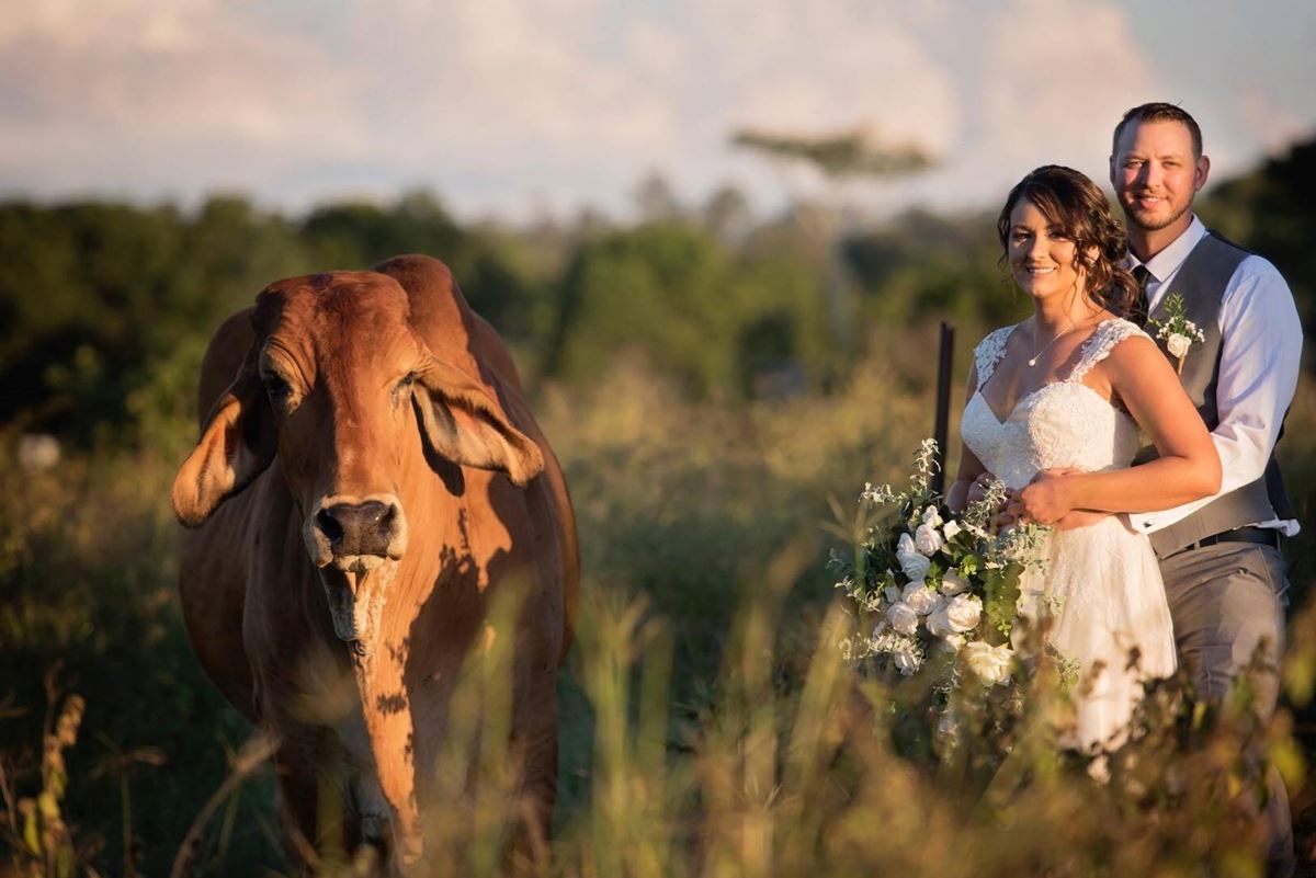 platypus park riverside retreat, farm wedding venues australia