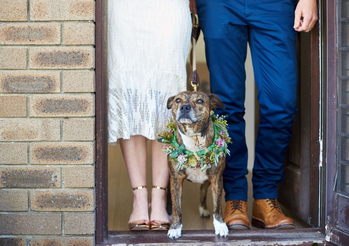 the love story photography, wedding photographers australia