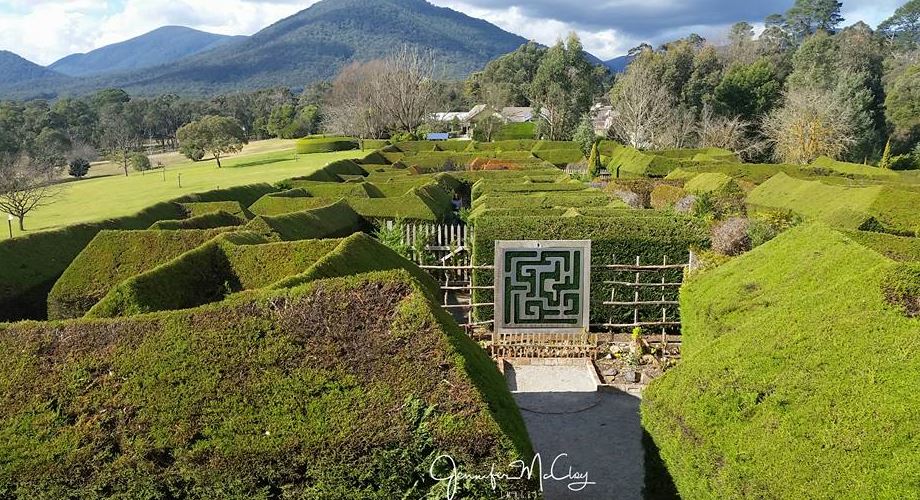 hedgend maze, unique wedding venues australia