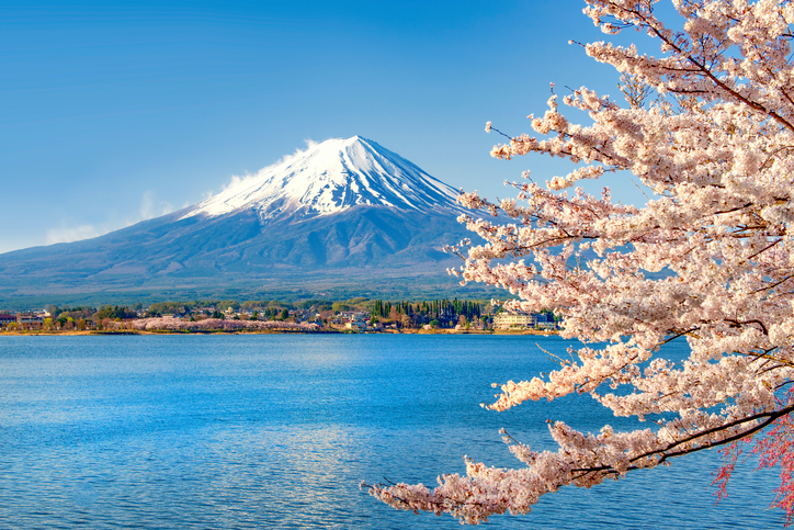 Fuji Mountain and Sakura Branch at Kawaguchiko Lake, Japan 