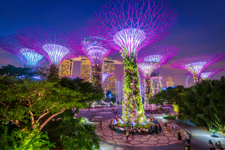 Singapore Supertrees and Skywalk in Gardens by the bay