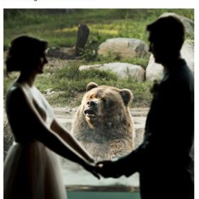 wedding bear photobomb
