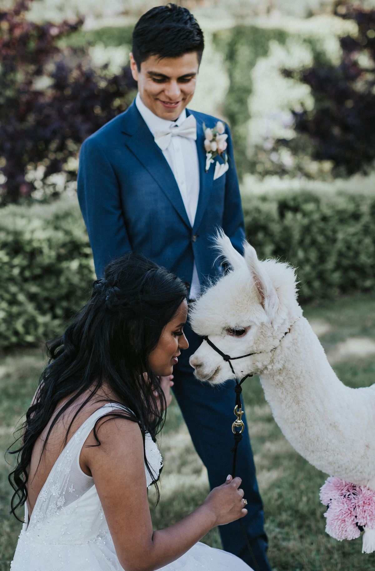 wedding animals