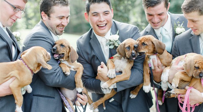 puppy bouquets