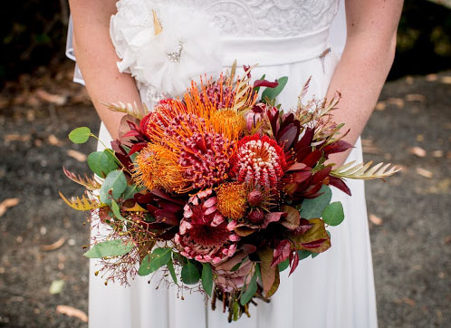Pincushion protea bridal bouquet Image Hastie