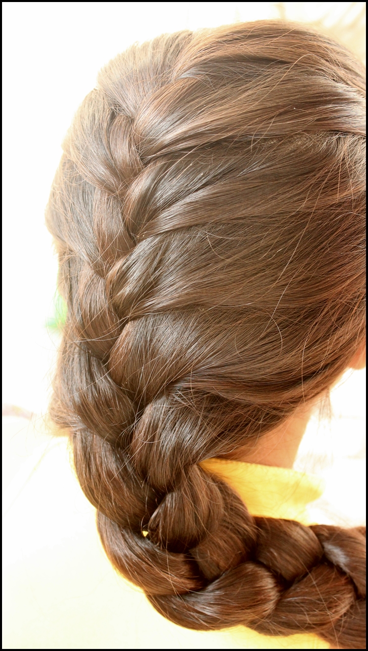 Braids french