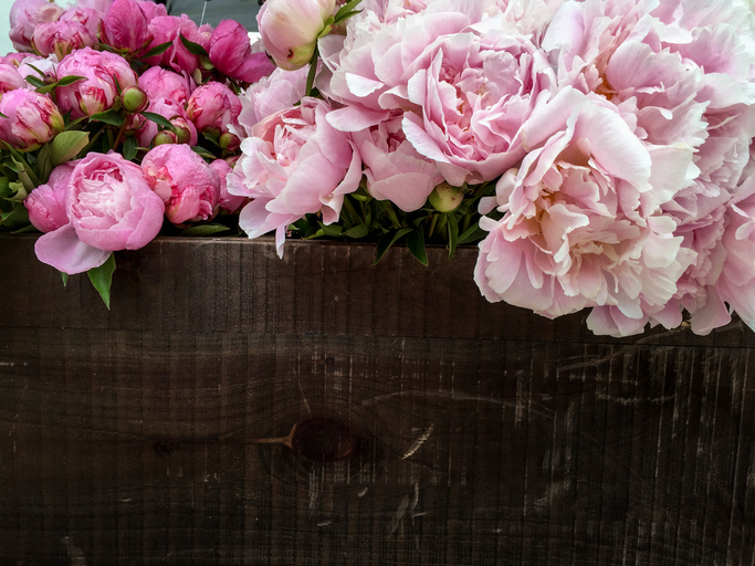 summer wedding bouquets