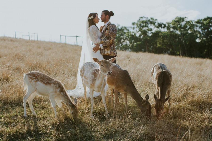 Kelly Damian Eclectic Country Wedding Kerryn Lee Photography 033 900x600 900x600 1