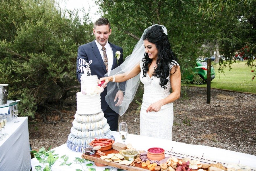 Cake and Punch Wedding Reception in Colorado • Real Weddings