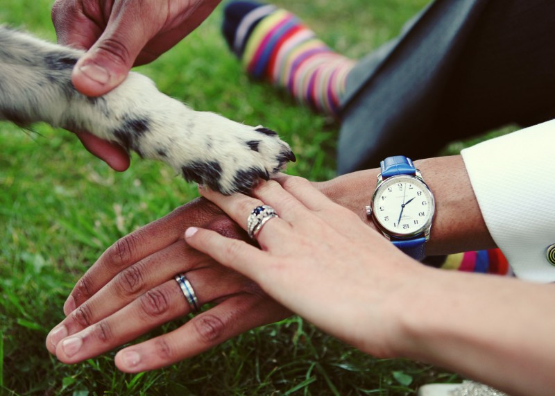 Jo and Ben's Country Wedding