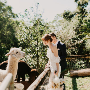 Photos with the alpacas at Rainforest Gardens Romantic Wedding Inspiration Shoot with Two Wild Hearts Photography