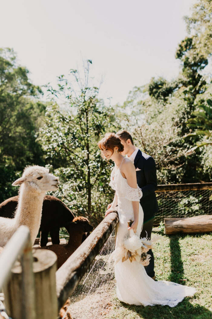 Photos with the alpacas at Rainforest Gardens Romantic Wedding Inspiration Shoot with Two Wild Hearts Photography