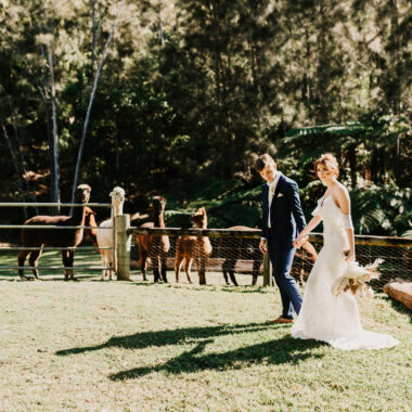 Bride and groom with the alpacas at Rainforest Gardens Romantic Wedding Inspiration Shoot with Two Wild Hearts Photography